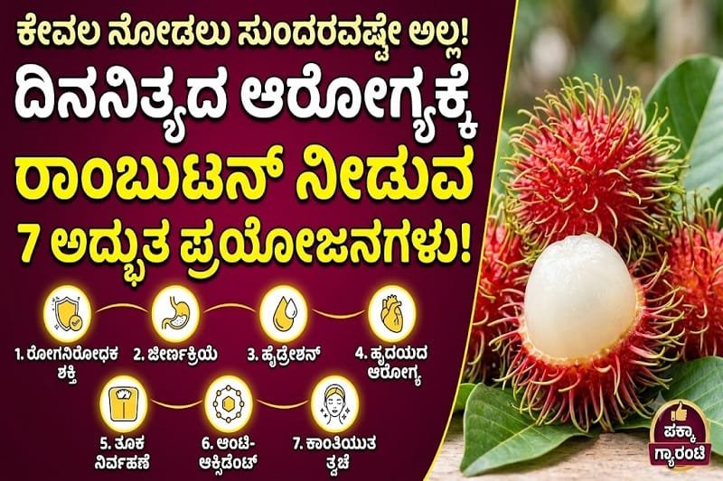 ‘ರಾಂಬುಟನ್’ ಹಣ್ಣಲ್ಲಿದೆ ಅದ್ಭುತ ಆರೋಗ್ಯದ ರಹಸ್ಯ!