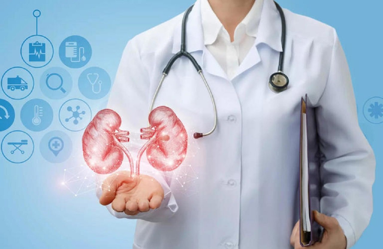Here are 4 precautionary measures to prevent kidney disease